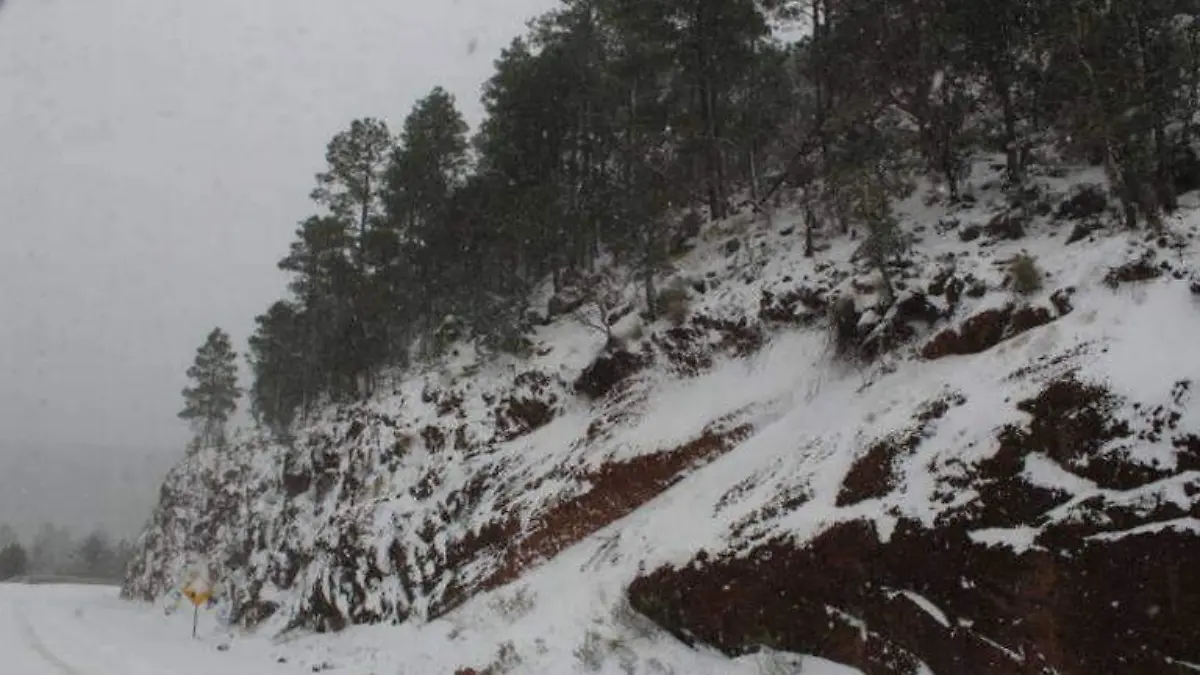 Nevadas en plena primavera en Chihuahua